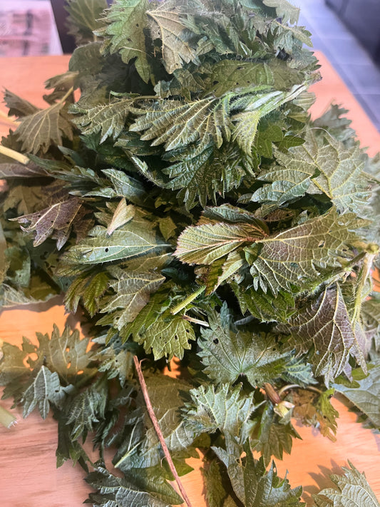 The Chemistry of Nettles: How They Benefit the Body